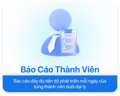 Báo cáo thành viên